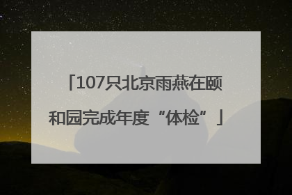 107只北京雨燕在颐和园完成年度“体检”