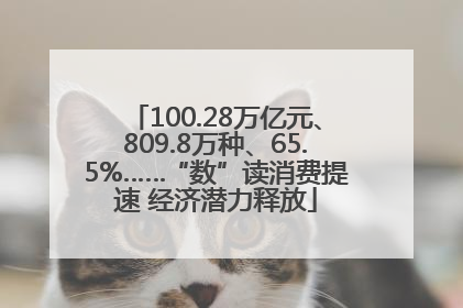 100.28万亿元、809.8万种、65.5%……“数”读消费提速 经济潜力释放