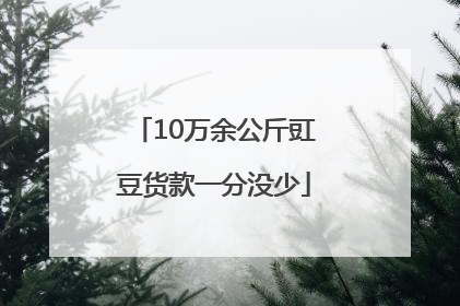 10万余公斤豇豆货款一分没少