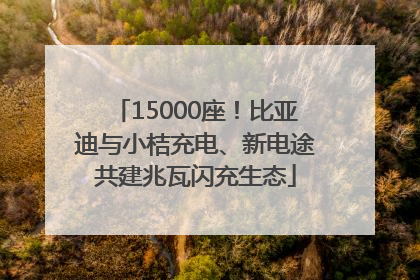 15000座！比亚迪与小桔充电、新电途共建兆瓦闪充生态