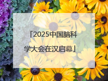 2025中国脑科学大会在汉启幕