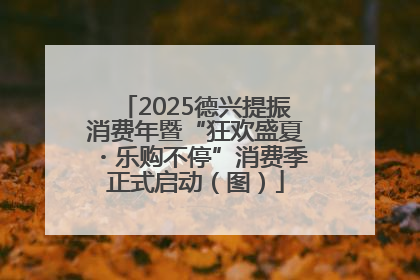 2025德兴提振消费年暨“狂欢盛夏・乐购不停”消费季正式启动（图）