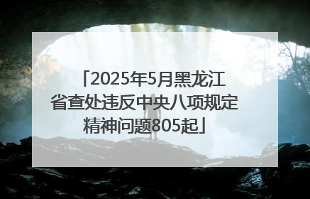 2025年5月黑龙江省查处违反中央八项规定精神问题805起