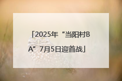 2025年“当阳村BA”7月5日迎首战