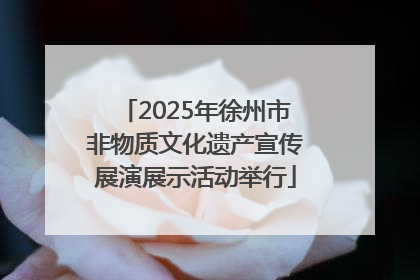 2025年徐州市非物质文化遗产宣传展演展示活动举行