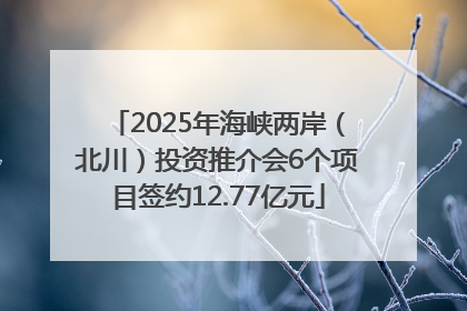 2025年海峡两岸（北川）投资推介会6个项目签约12.77亿元