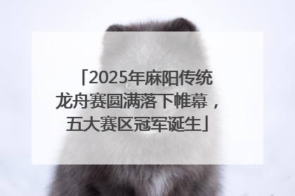 2025年麻阳传统龙舟赛圆满落下帷幕，五大赛区冠军诞生