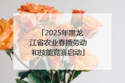 2025年黑龙江省农业春播劳动和技能竞赛启动