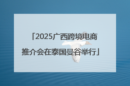 2025广西跨境电商推介会在泰国曼谷举行
