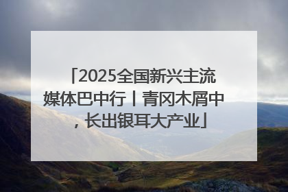 2025全国新兴主流媒体巴中行丨青冈木屑中，长出银耳大产业