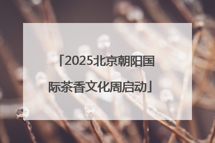 2025北京朝阳国际茶香文化周启动