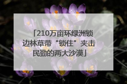 210万亩环绿洲锁边林草带“锁住”夹击民勤的两大沙漠