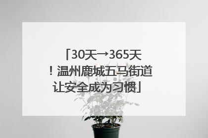 30天→365天！温州鹿城五马街道让安全成为习惯