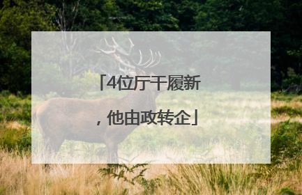 4位厅干履新，他由政转企