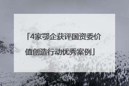 4家鄂企获评国资委价值创造行动优秀案例