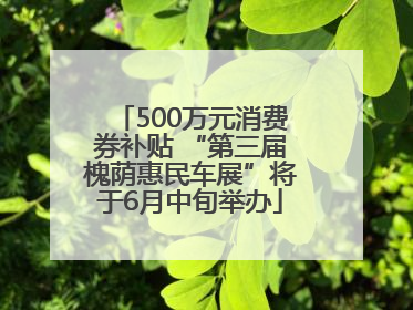 500万元消费券补贴 “第三届槐荫惠民车展”将于6月中旬举办