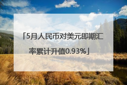 5月人民币对美元即期汇率累计升值0.93%