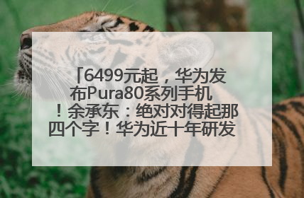 6499元起，华为发布Pura80系列手机！余承东：绝对对得起那四个字！华为近十年研发投入12490亿元
