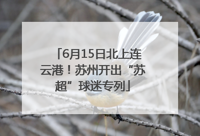 6月15日北上连云港！苏州开出“苏超”球迷专列