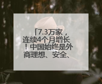 7.3万家，连续4个月增长！中国始终是外商理想、安全、有为的投资目的地