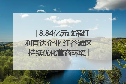 8.84亿元政策红利直达企业 红谷滩区持续优化营商环境