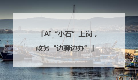 AI“小石”上岗，政务“边聊边办”
