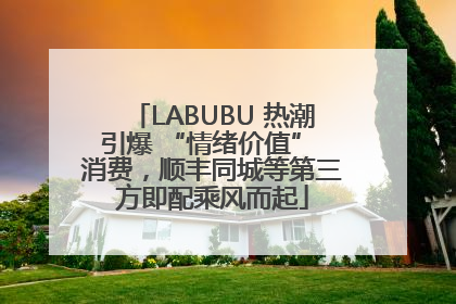 LABUBU 热潮引爆 “情绪价值” 消费，顺丰同城等第三方即配乘风而起