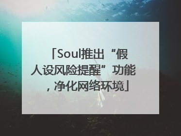 Soul推出“假人设风险提醒”功能，净化网络环境